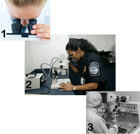 Using microscopes in society